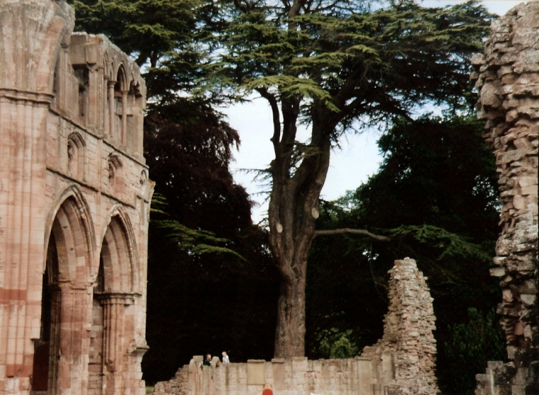 Dryburgh Abbey, Borders, Scotland - Photo by Susan Wallace